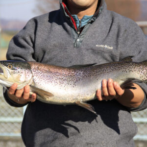 2025年 12月旬ちゃんニュース